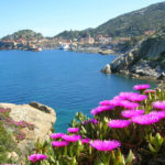 weekend in barca Giglio e Giannutri