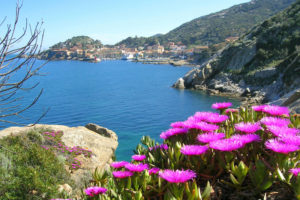 weekend in barca Giglio e Giannutri